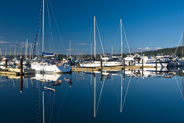 White sailboats and reflections in calm marina