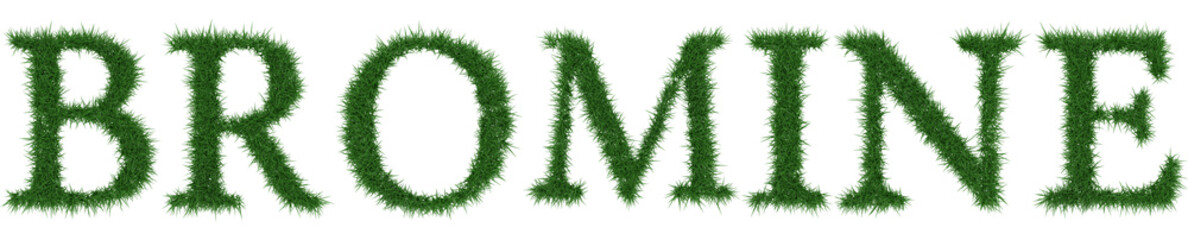 Bromine - 3D rendering fresh Grass letters isolated on whhite background.