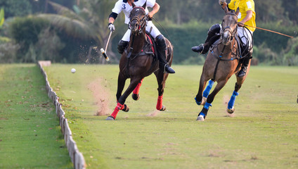 Horse polo Ball is floating in the air during a polo match.