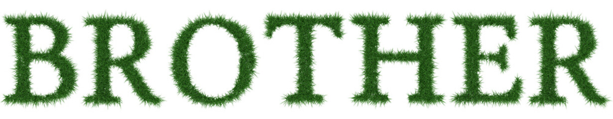 Brother - 3D rendering fresh Grass letters isolated on whhite background.