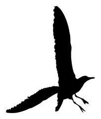 Naklejka premium Seagull fly vector silhouette isolated on white background, wings spread shadow illustration. Bird silhouette flying. Sea mew.