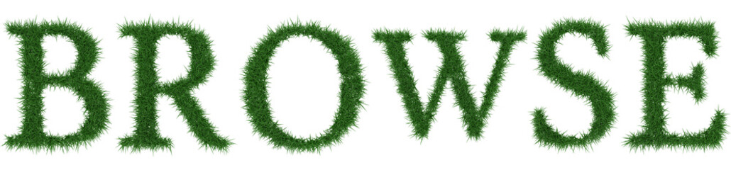 Browse - 3D rendering fresh Grass letters isolated on whhite background.