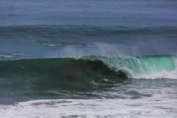 Fototapeta premium Wave