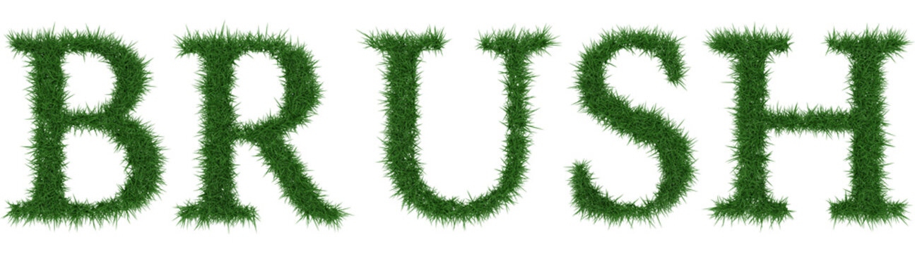 Brush - 3D rendering fresh Grass letters isolated on whhite background.