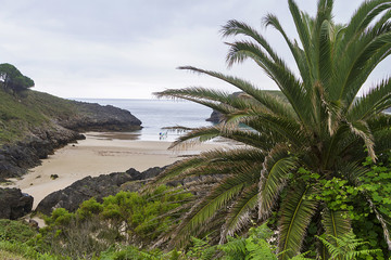 Fototapeta na wymiar Celorio beach