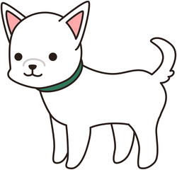 白い犬 ドッグ わんわん 散歩　表情