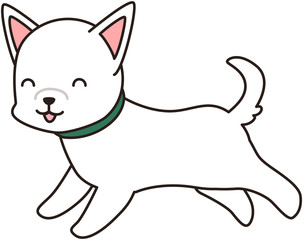 白い犬 ドッグ わんわん 散歩　表情