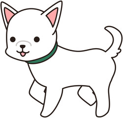 白い犬 ドッグ わんわん 散歩　表情
