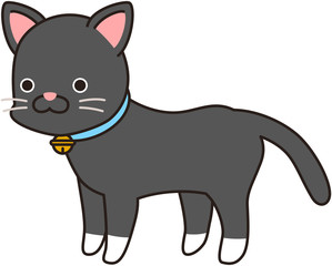 黒い猫