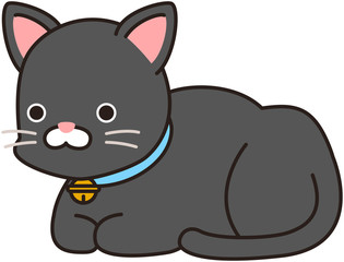 黒い猫　香箱座り
