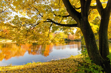 Fototapeta na wymiar Meditation, Relaxation, Silence, Free Time: Wonderful day in autumn with colorful trees at a silent lake :)