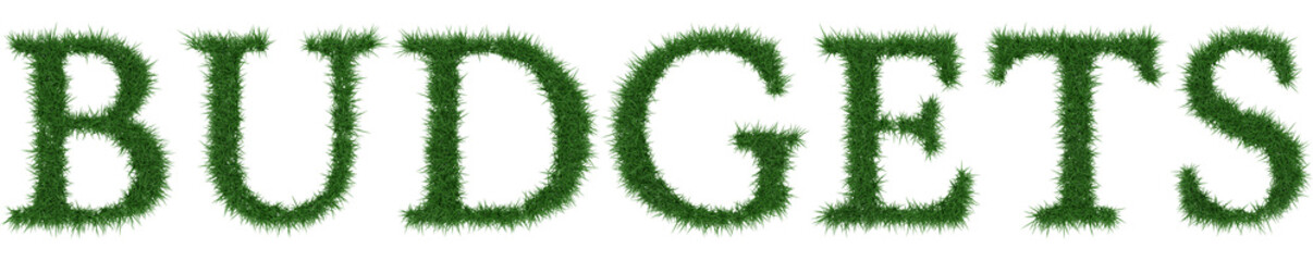 Budgets - 3D rendering fresh Grass letters isolated on whhite background.