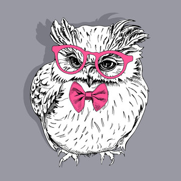 Young Owl in a pink glasses with bow-tie. Vector illustration.