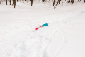 Dog Jack Russell Terrier playing in winter park
