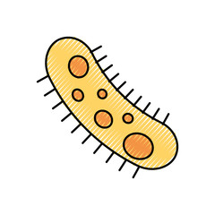 Study of bacteria icon vector illustration design