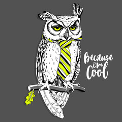 Screech-owl in the bright striped tie on a branch. Vector illustration.