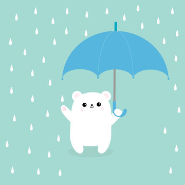 Polar white small little bear cub holding umbrella. Rain drops. Cute cartoon baby character. Arctic animal collection. Blue background. Isolated.