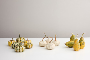 Various ornamental pumpkins for halloween on white table, copyspace