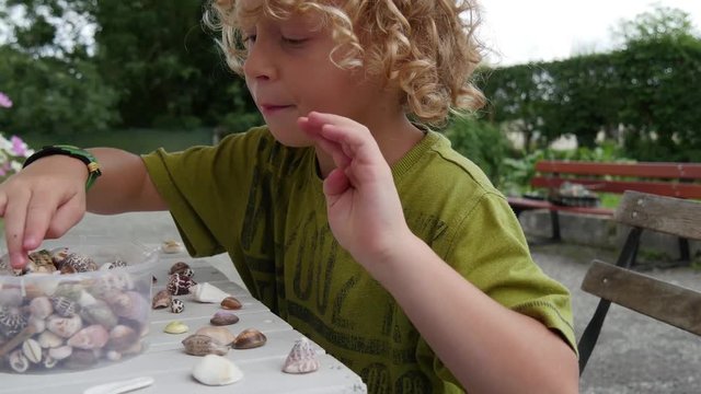 little blond boy playing with shells