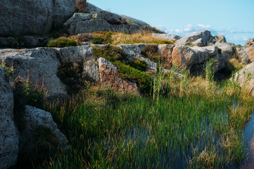 Fototapeta premium Water and Rocks