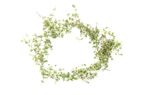 Thyme herb isolated in white background with space for text