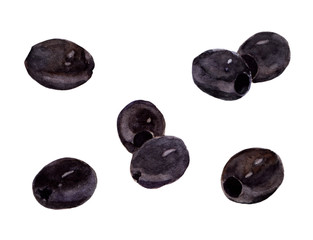 Watercolor hand painted black olives