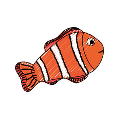 Clown fish animal icon vector illustration graphic design