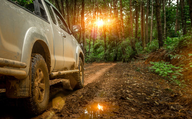 Off-road travel in the forest road. Beautiful nature sunset © surachat