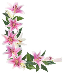 Naklejka premium flower lily on a white background with copy space for your message