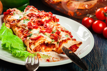 Traditional mexican enchiladas with chicken meat, spicy tomato sauce and cheese on a plate