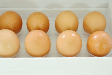 brown egg stored on tray in refrigerator door