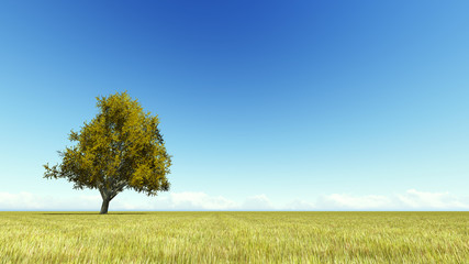 Fototapeta premium Singl autumn tree on a meadow 3D render