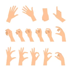 Fotobehang Various gestures of human hands isolated  on a white background. Vector flat illustration of female hands in different situations. Vector design elements for infographic, web, internet, presentation. © peart