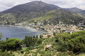 Fototapeta na wymiar Coast of Levanto