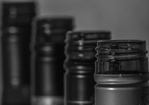 Wine Bottles in Black and White