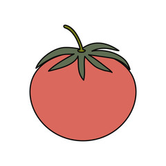 tomato fresh vegetable icon vector illustration graphic design