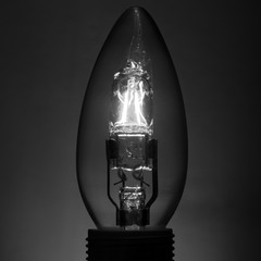 Black and White Lightbulb