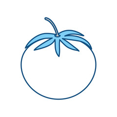 tomato fresh vegetable icon vector illustration graphic design