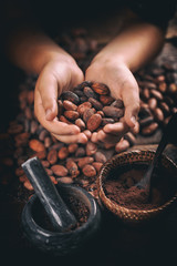 Aromatic cocoa beans
