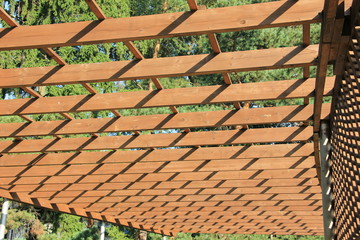 texture of the rotunda's wooden roof structure