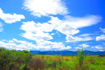 Beautiful summer day in nature, blue sky with white clouds, high mountains in background