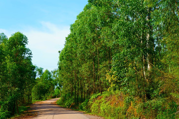 The road through the hills