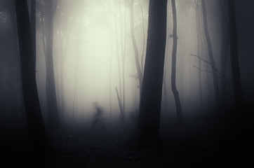 dark scary forest scene with scary ghost