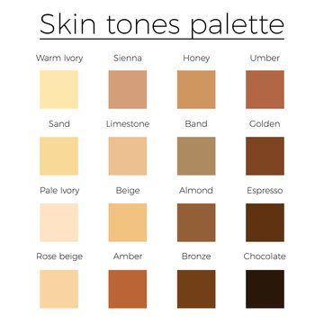 skin tone palette vector