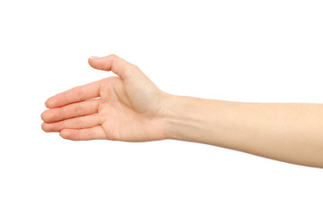 Woman's hand who is willing to make a deal