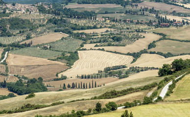 Fototapeta na wymiar Beautiful view over the Val d'Orcia countryside between Pienza and Monticchiello, Siena, Italy, on a sunny summer day