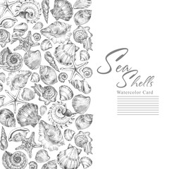 Hand painted seashells vertical border. Watercolor decorative summer background. Original hand drawn illustration. Marine template design. Tropical shells, starfishes texture. Traveling. - 169536669