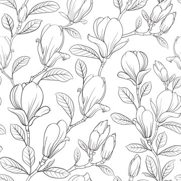 Magnolia blooming flower. Linear style of Magnolia Flower for seamless pattern. Line illustration on a white background. Vector illustration.