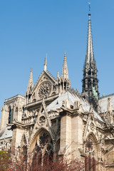 Fototapeta na wymiar Notre-Dame de Paris cathedral detail from the gardens, Paris, France
