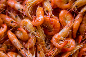 Close-up of boiled shrimps for background
